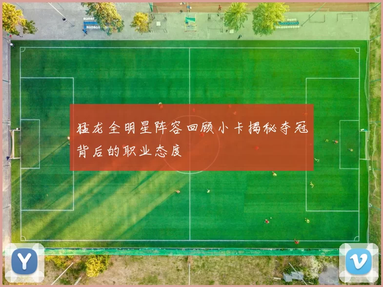 猛龙全明星阵容回顾小卡揭秘夺冠背后的职业态度